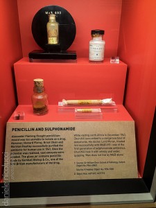 penicylina-muzeum